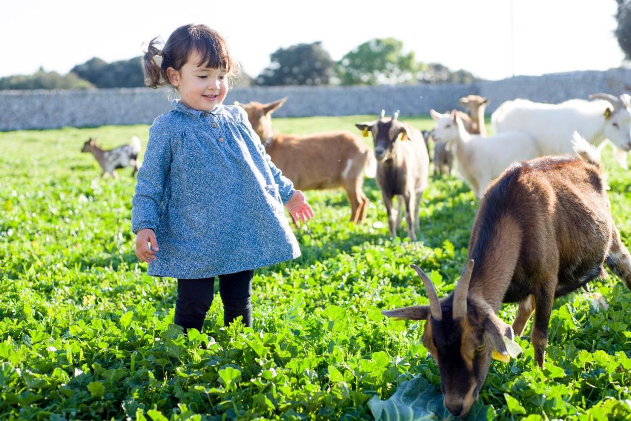 Llucmacanes Gran Agroturismo Mahón Kültér fotó