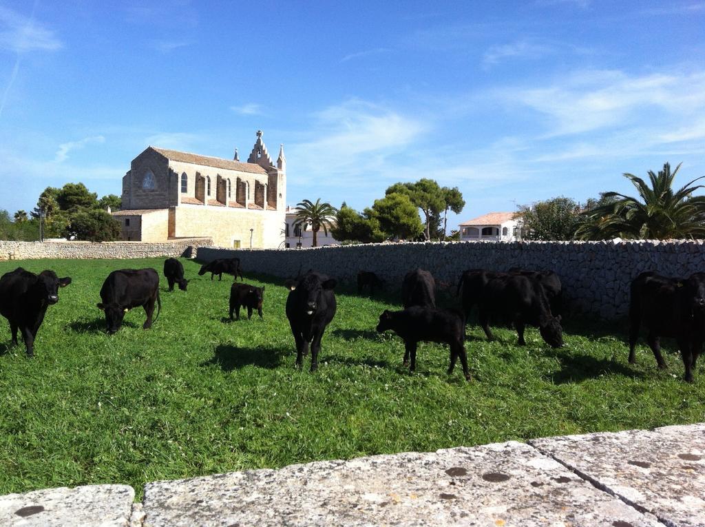 Llucmacanes Gran Agroturismo Mahón Kültér fotó