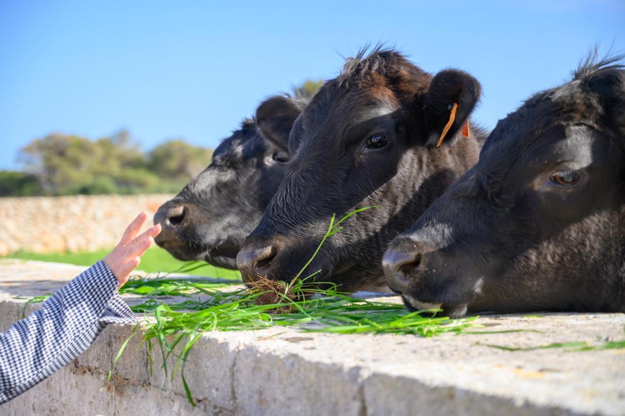 Llucmacanes Gran Agroturismo Mahón Kültér fotó